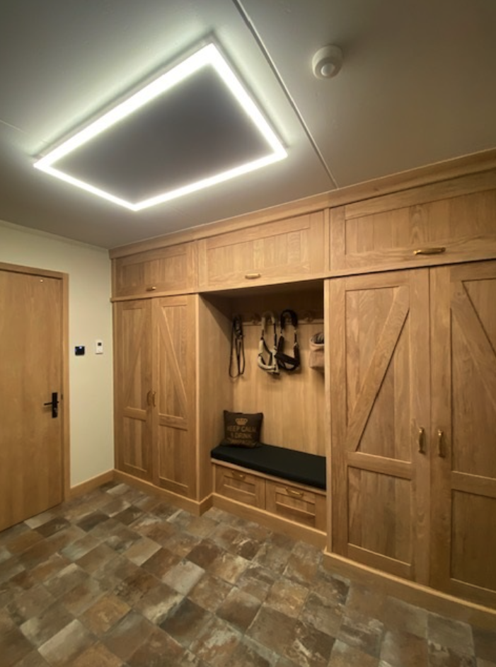 Paarden Dressing met ledframe