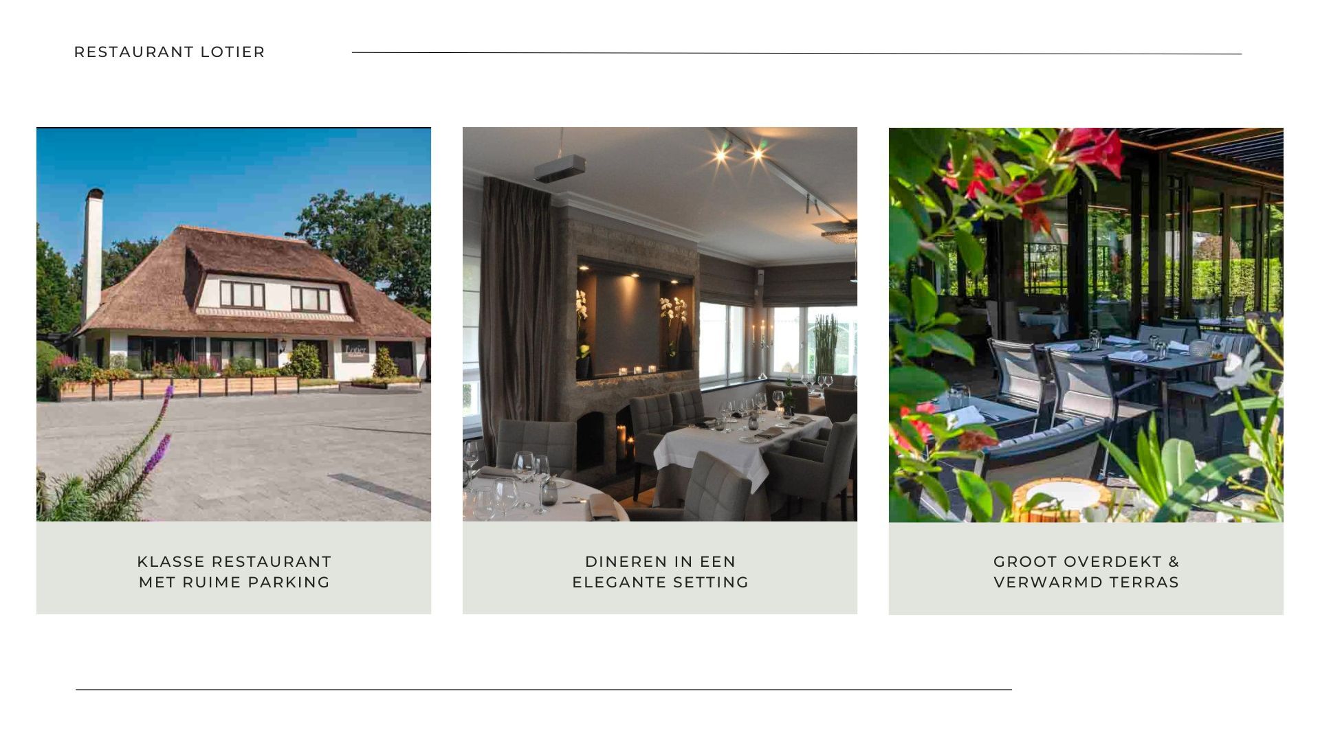 stijlvol restaurant in westmalle met een seizoensgebonden keuken